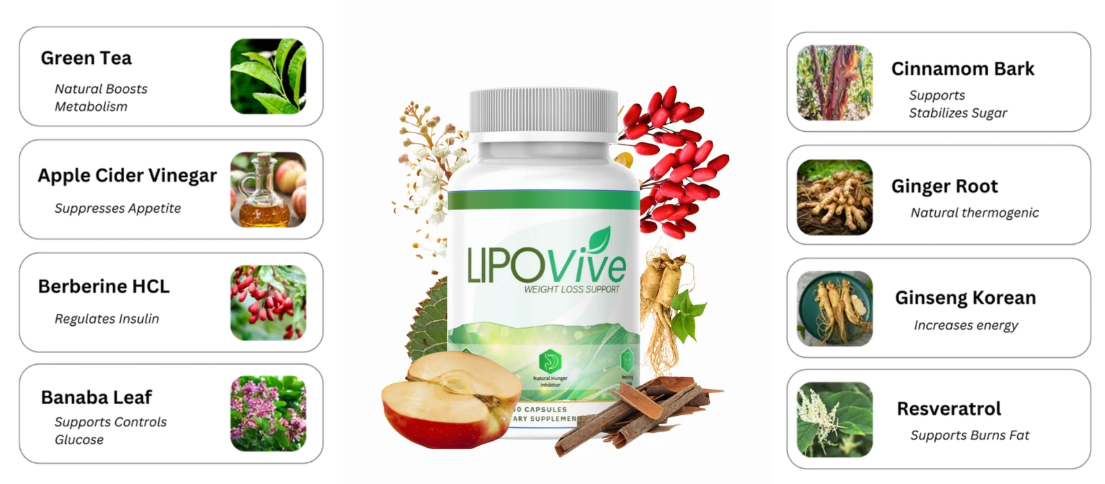 LipoVive ingredients