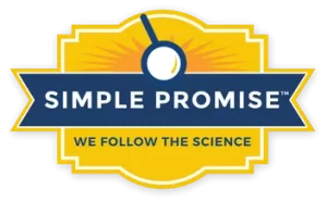 Simple Promise