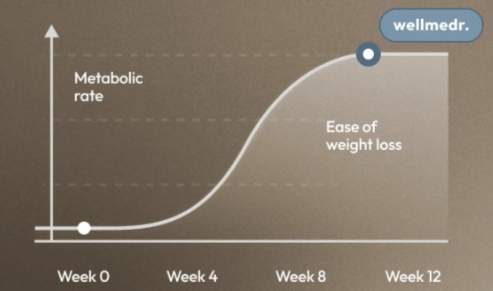 WellMedr GLP-1 timeline