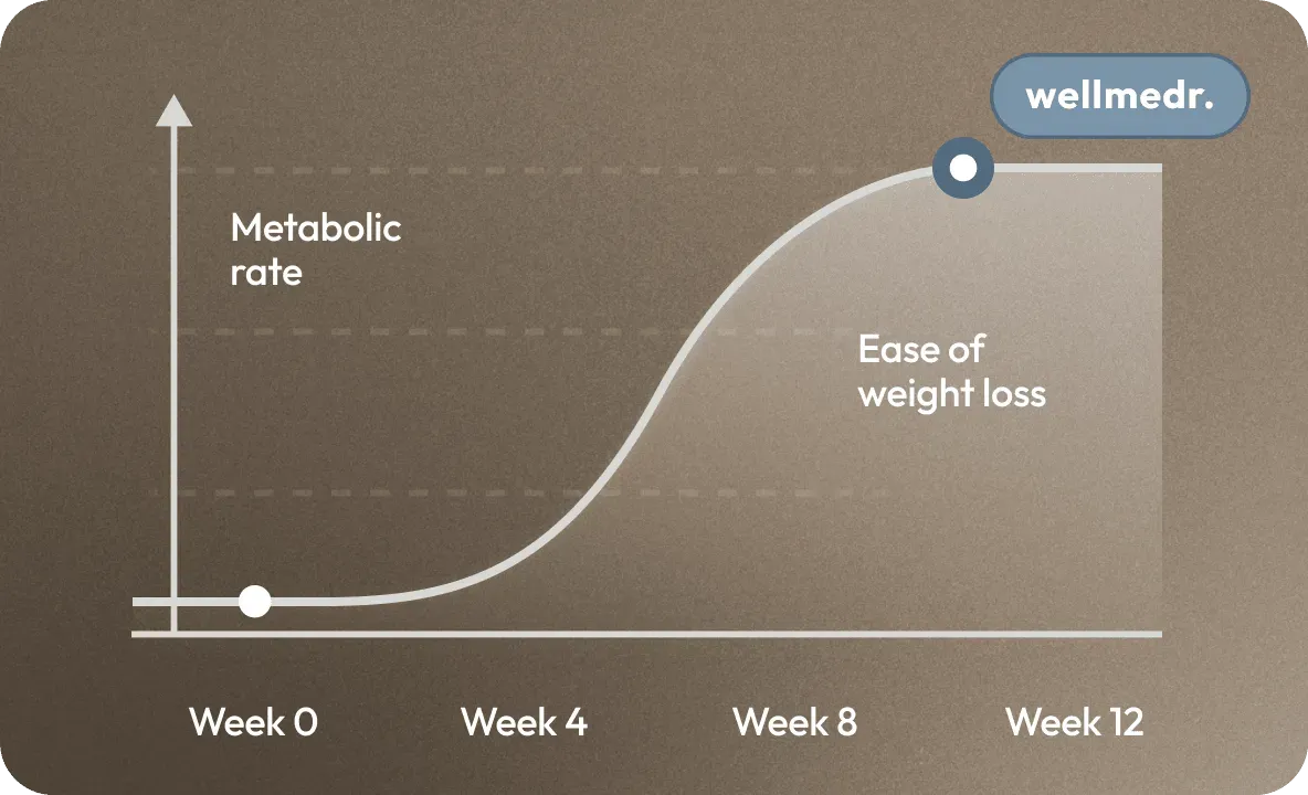 Wellmedr Weely Graph